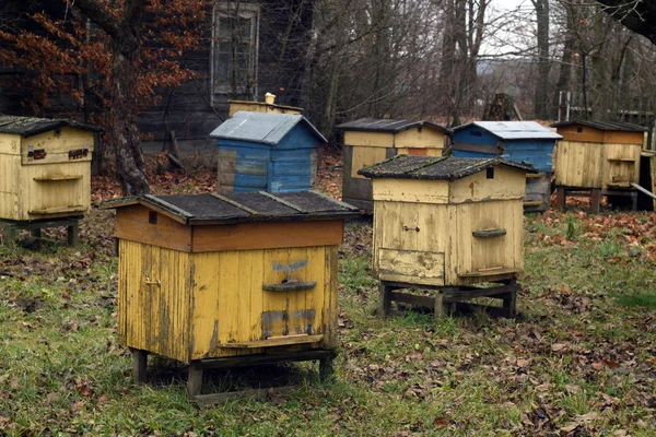 Vecchi alveari in autunno . — Foto Stock