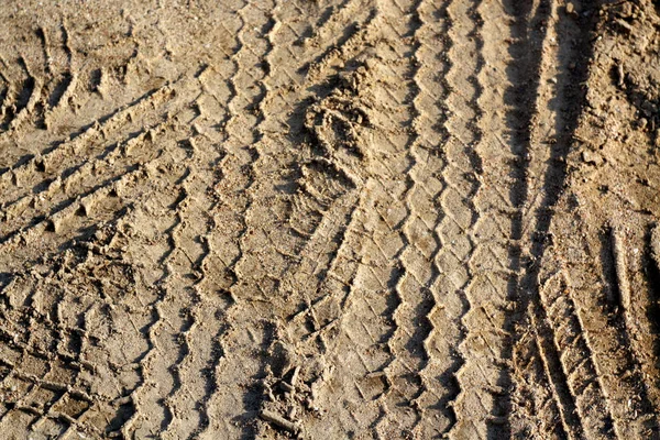 Huellas de neumáticos en la arena . —  Fotos de Stock