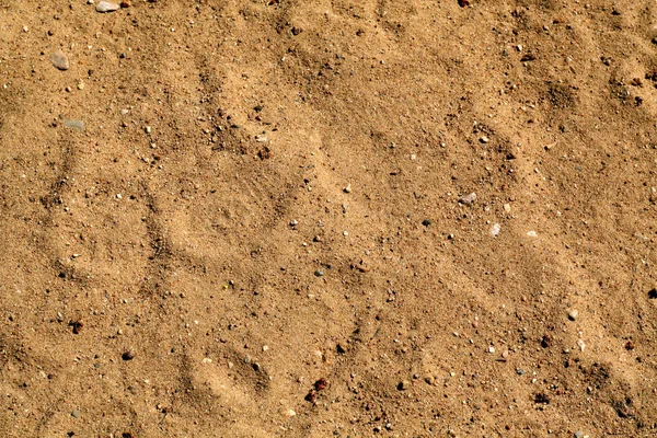 Fundo de textura de areia . — Fotografia de Stock