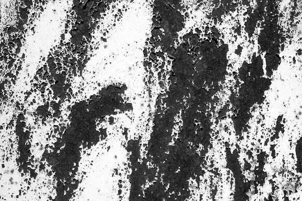 Grungy rusted metal surface in black and white. — Stock Photo, Image