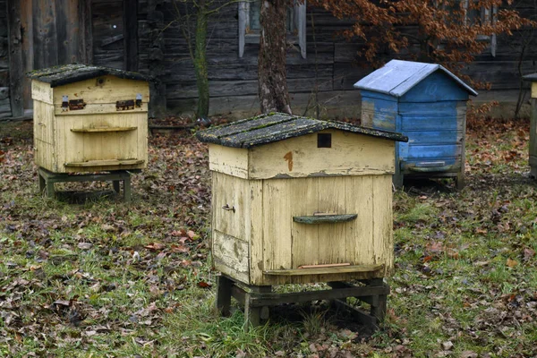 Παλιά κυψέλες μελισσών το φθινόπωρο. — Φωτογραφία Αρχείου