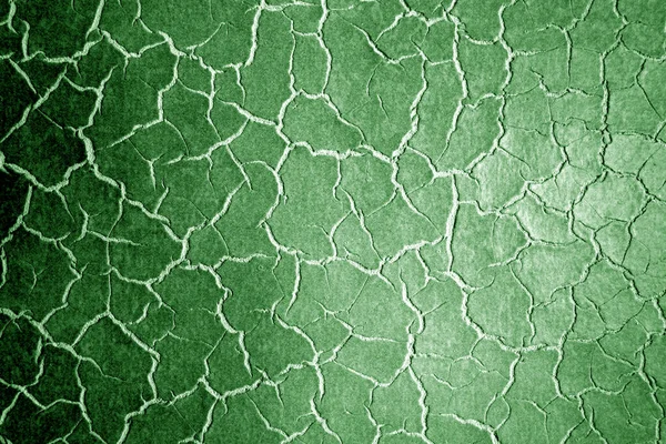 绿色调下有模糊效果的皮革表面. — 图库照片