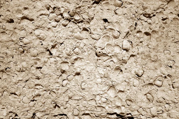 Piedra de roca Shell primer plano en tono marrón . —  Fotos de Stock
