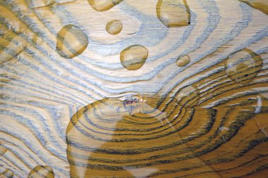 Tahta yüzeyde su damlası.