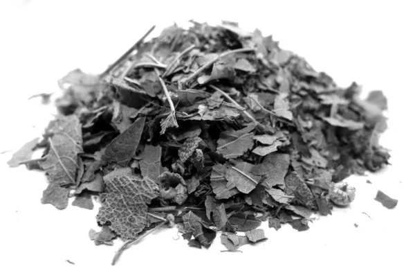 Száraz gyógynövény tea izolált fehér fekete-fehér. — Stock Fotó