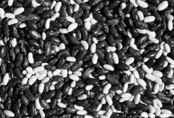 Soya beans close-up in black and white. — Stock Photo, Image
