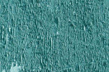 Cyan tonunda yıpranmış bir duvar. Tasarımcılar için soyut arkaplan ve şablon.