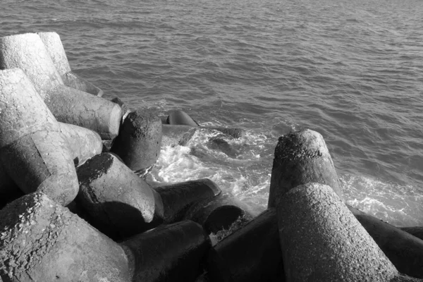 黑海地区的防波堤上有黑白相间的痣 海景和背景 — 图库照片