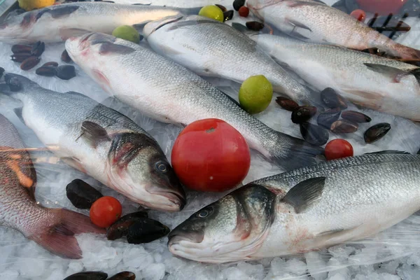 Uncooked Sea Fish Laid Ice Food Ingredients Background — Stock Photo, Image