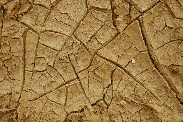 Cracked Natural Soil Background Dry Soil Global Warming — Stock Photo, Image