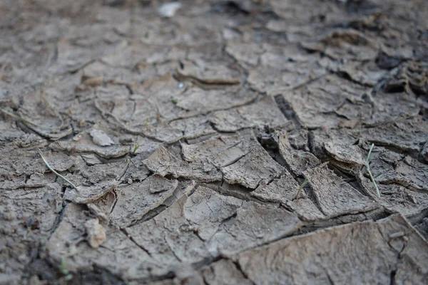 Sprucken Naturlig Jord Bakgrund Torr Jord Vid Global Uppvärmning — Stockfoto