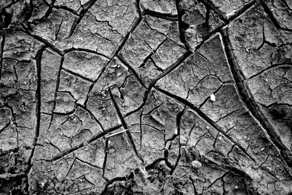 Pęknięte Naturalne Tło Gleby Sucha Gleba Globalnym Ociepleniu — Zdjęcie stockowe