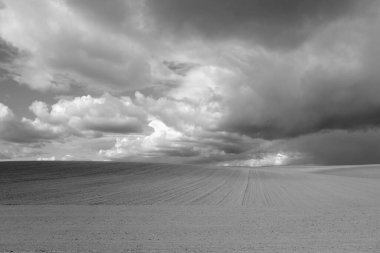 Tarımsal tarlalar ve bulutlu gökyüzü. Bahar manzarası ve arka plan                   