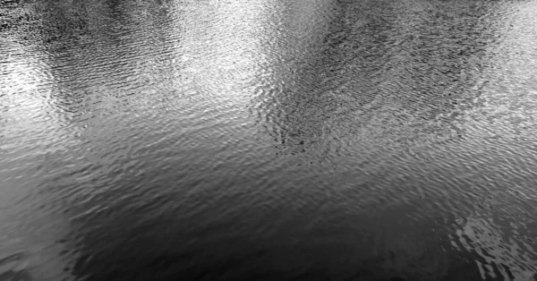 Riflessione Alberi Nuvole Nell Acqua Del Lago Forestale Sfondo Modello — Foto Stock