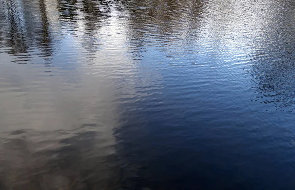 Вода Лесу Размышления Природные Закономерности — стоковое фото