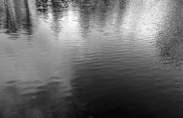 Вода Лісовому Озері Роздуми Природні Візерунки — стокове фото
