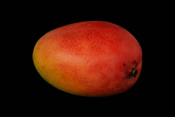 Mango červené barvy na černém pozadí — Stock fotografie