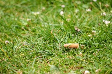Cigarette butts, the most common discard piece of waste worldwide. Estimated 1.69 BILLION pounds of butts as toxic trash each year, creating an enormous environmental, health and economic burden. clipart