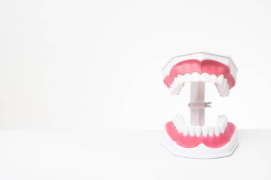 Diş bakımı gösteriminin beyaz arka planında yapay dişler 