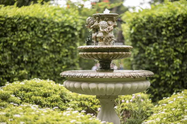 the fountain in garden