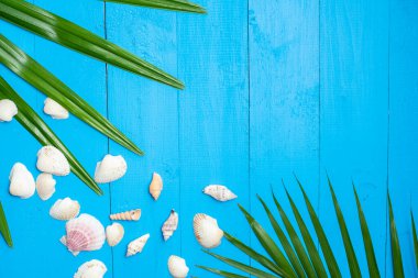 Mavi ahşap arka plan, yaz konsepti 