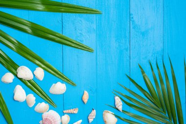 Mavi ahşap arka plan, yaz konsepti 