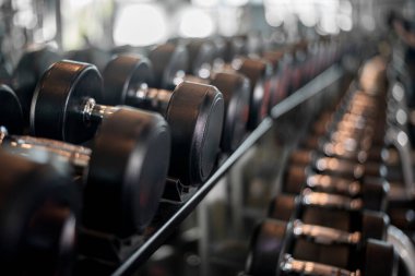 Spor salonunda bir sıra dambıl.