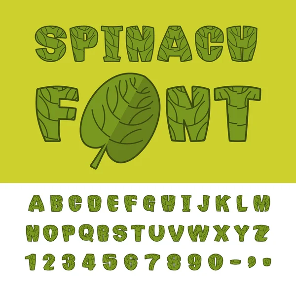 Spinatfontäne. nützliches Kräuteralphabet. grüne Salatblätter — Stockvektor