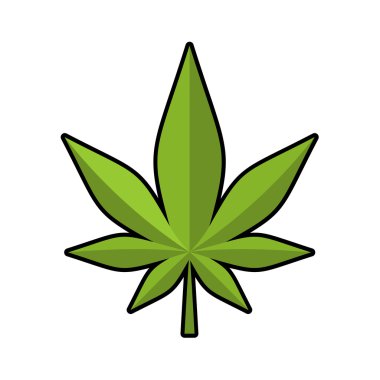 Yaprak marihuana. Yeşil kenevir. broşür gence. narkotik bitkiler