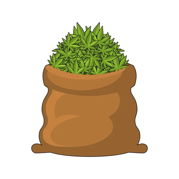 Saco lleno de cannabis. Una bolsa grande de marihuana. Fumar drogas. artritis — Vector de stock