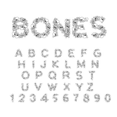 Kemikler alfabe. Harf anatomisi. İskelet yazı tipi. Kafatası ve omurga.