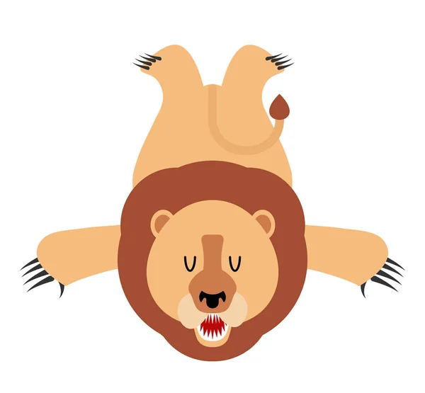 Лев шкіри килим трофей мисливець ізольовані. Африканський Лев хижака. F — стоковий вектор