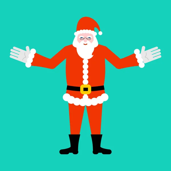 Santa Claus geïsoleerd. Baard en snor. Xmas sjabloon. Red Hat — Stockvector