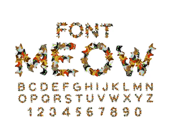 Meow font. Cat alphabet. catlike ABC. letters of  Pet. Pets typo — Stock Vector