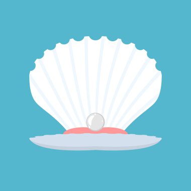 İnci kabuk. Açık deniz kabuğu. Üretim doğal inci