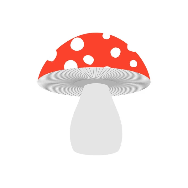 Amanita aislada. Champiñón venenoso sobre fondo blanco . — Archivo Imágenes Vectoriales