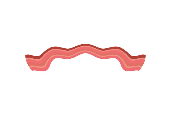 Bacon rôti isolé. Morceau mince de viande de porc — Image vectorielle