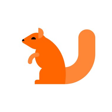 izole sincap. Beyaz arka plan üzerinde kemirgen