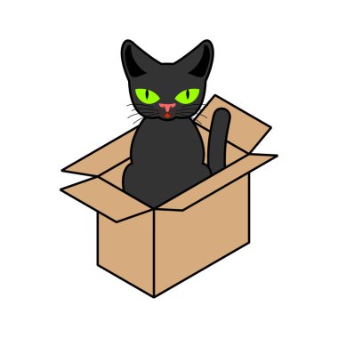 Kedi izole kutusunda. Karton kutunun içinde evde beslenen hayvan. vektör çizim