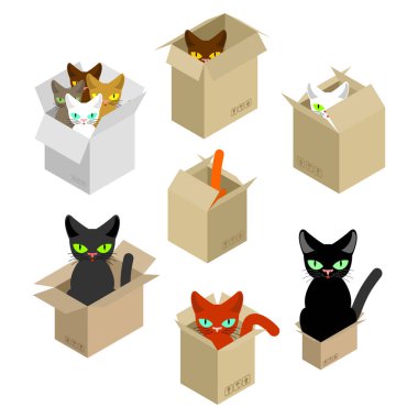 Kedi kutusunu küme. Karton kutunun içinde evde beslenen hayvan. vektör çizim