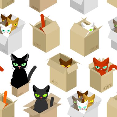 Kedi kutusunu desen. Karton kutu arka planda evde beslenen hayvan. vektör metin