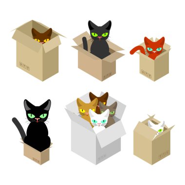 Kedi kutusunu küme. Karton kutunun içinde evde beslenen hayvan. vektör çizim