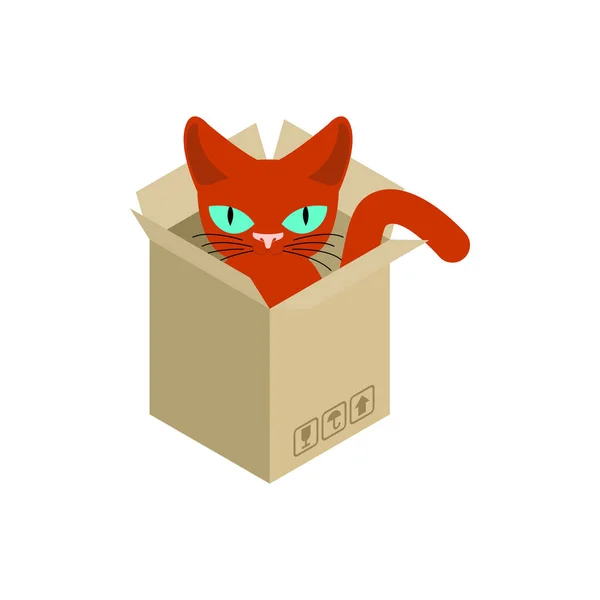 Katze in Kiste isoliert. Haustier im Karton. Vektorillustration — Stockvektor
