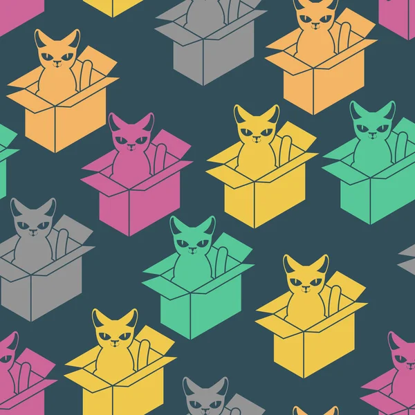Patrón de gato en caja. Mascota en caja de cartón fondo. vector de texto — Vector de stock