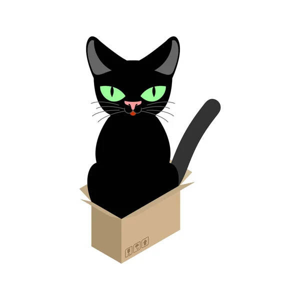 Macska a doboz elszigetelt. Kisállat kartondobozban. vektoros illusztráció — Stock Vector
