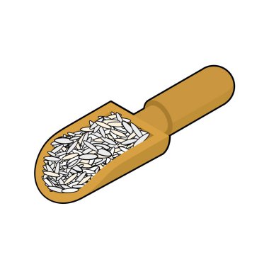 Ahşap Kepçe izole Basmati pirinç. Kabuğu çıkarılmış tane tahta kürek içinde. Gr
