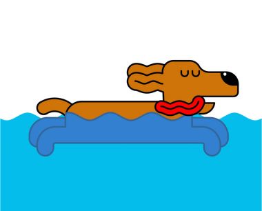 İzole köpek yüzme. Su ev evde beslenen hayvan. Vektör çizim