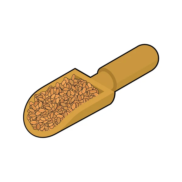 Trigo en cuchara de madera aislada. Granos en pala de madera. Grano encendido — Vector de stock