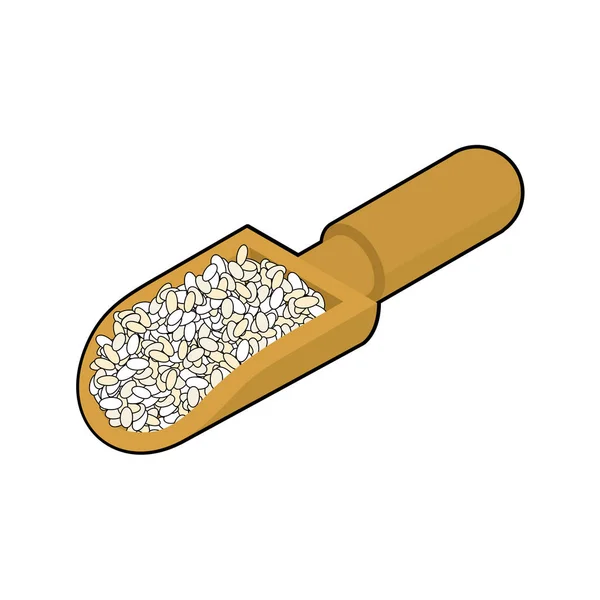 Arroz redondo en cuchara de madera aislada. Granos en pala de madera. Grai. — Vector de stock