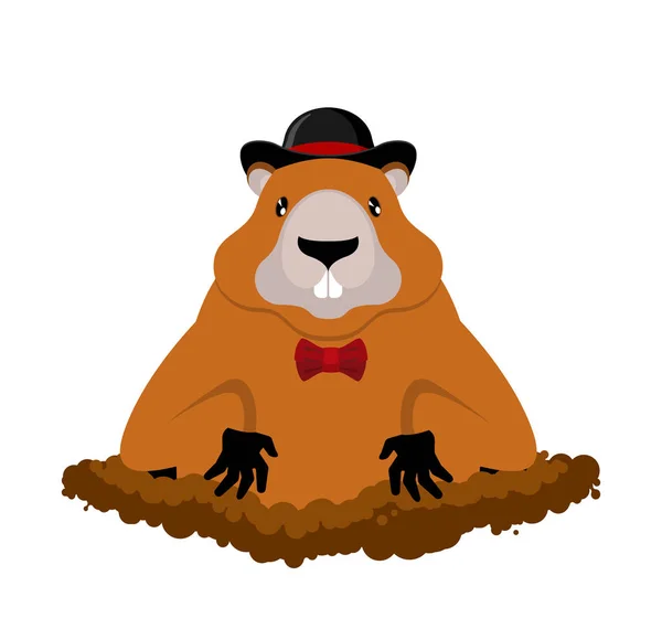 Groundhog Day. Marmot i hatt. Gnagare aristokrat. Illustration fo — Stock vektor